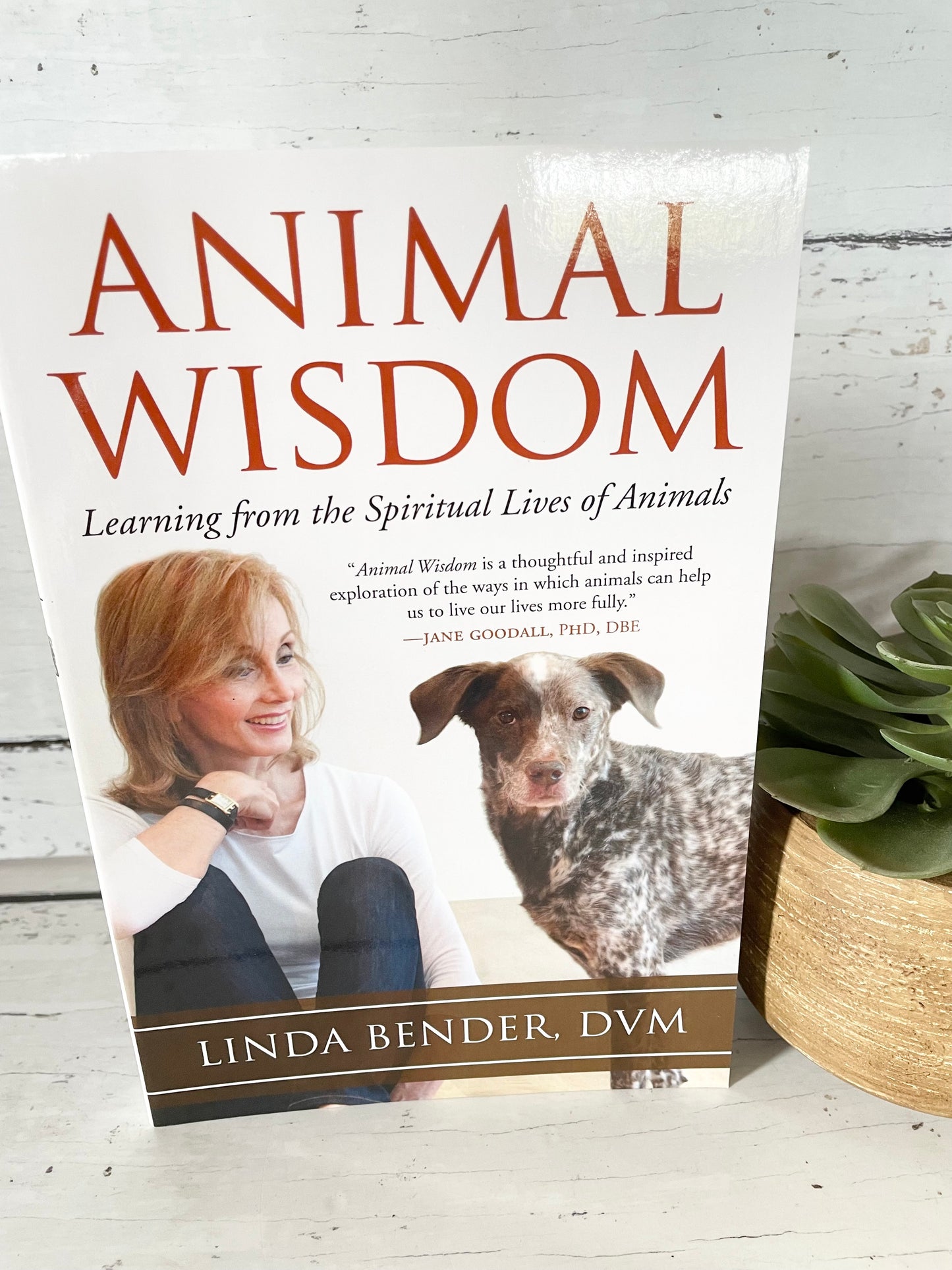 Animal Wisdom - Learning from the spiritual lives of animals