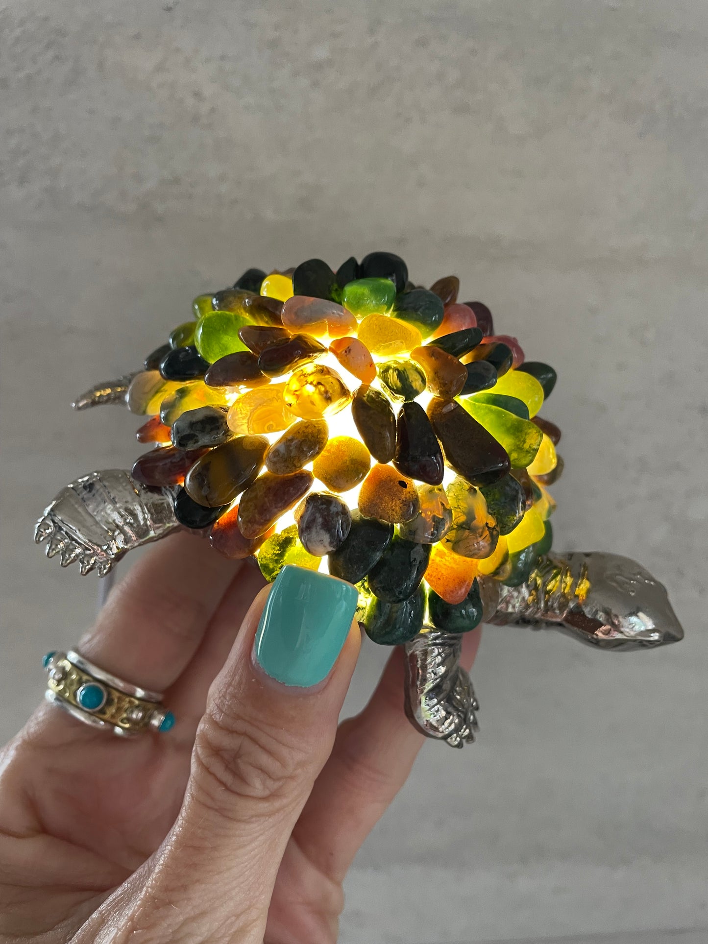 Tortoise Led Lamp ~ Indian Agate