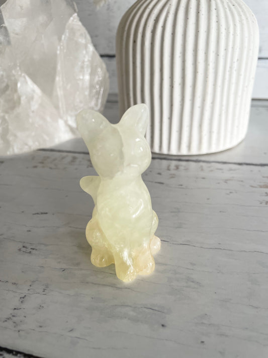 Cat - Afghanistan Jade