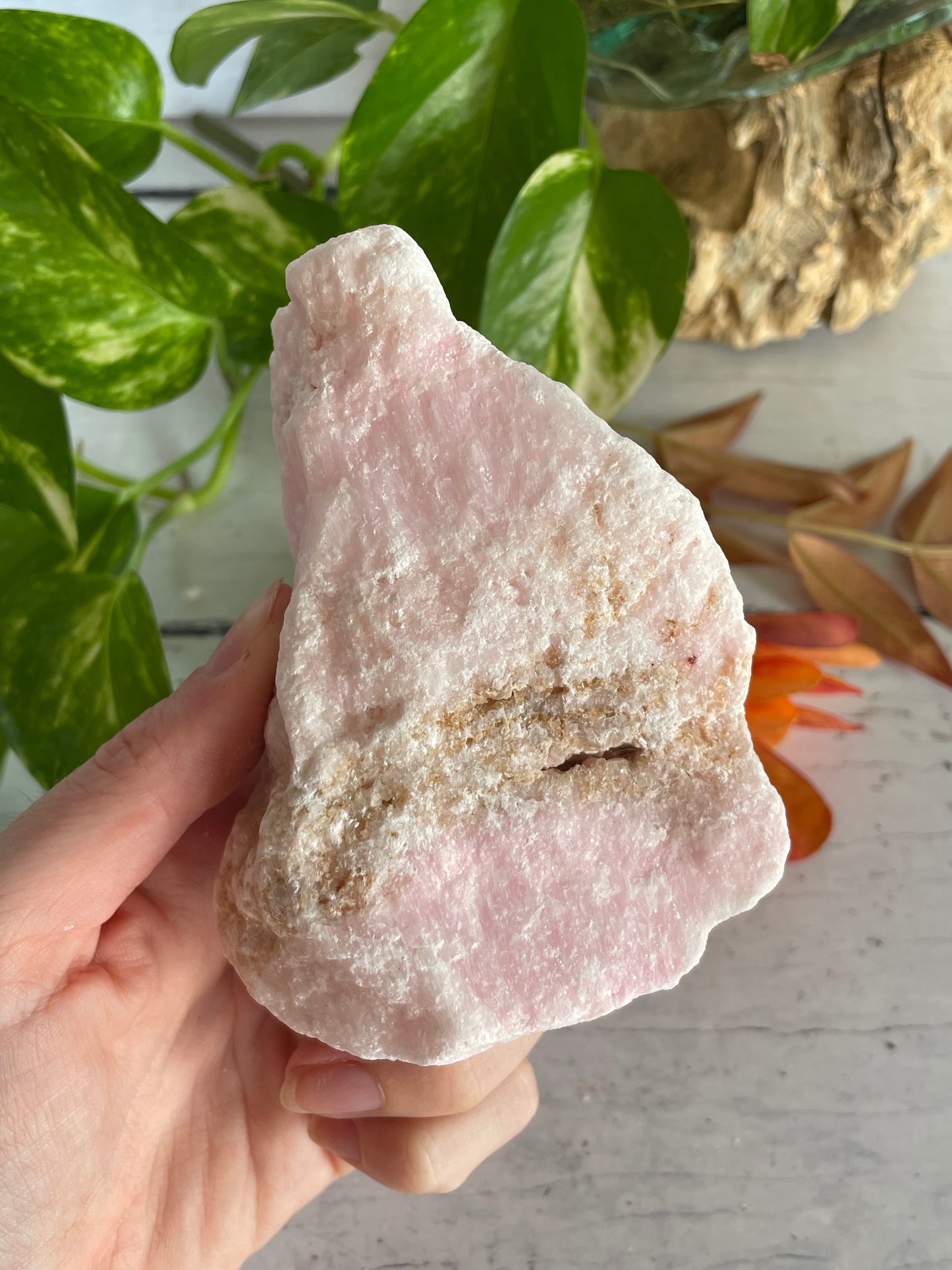 Pink Aragonite