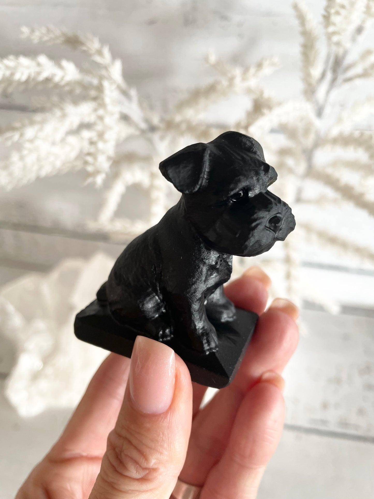 Black Obsidian Dog ~ Schnauzer (old man cutie)