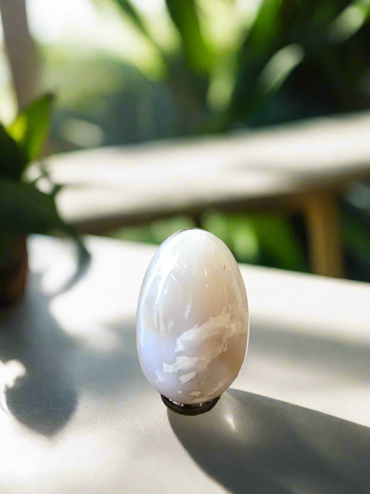 Snow Agate Egg with holder