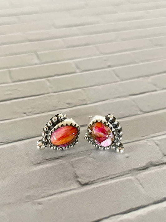 Spiny Oyster Studs