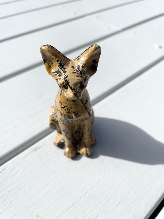 Picture Jasper Cat