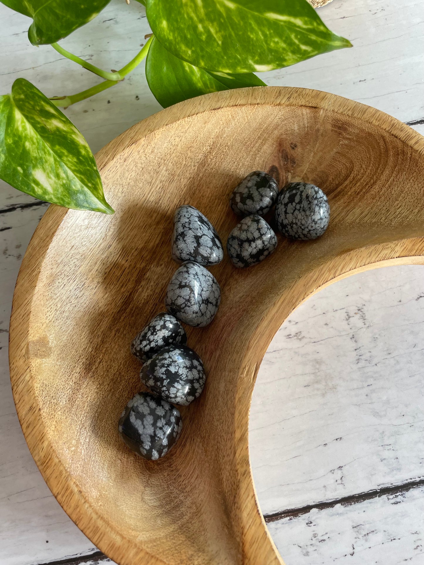 Snowflake Obsidian Tumble Stones