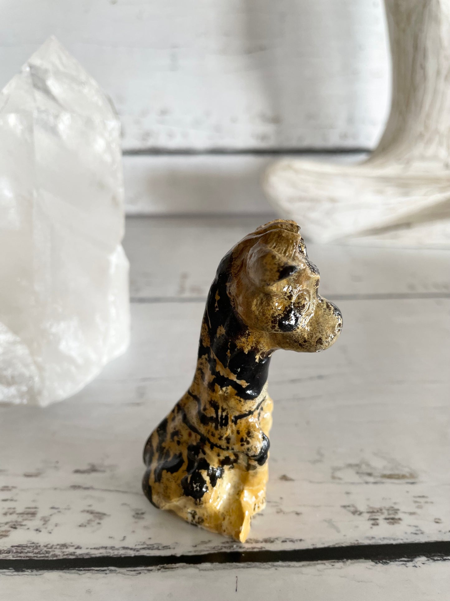 Picture Jasper Giraffe ~ 10