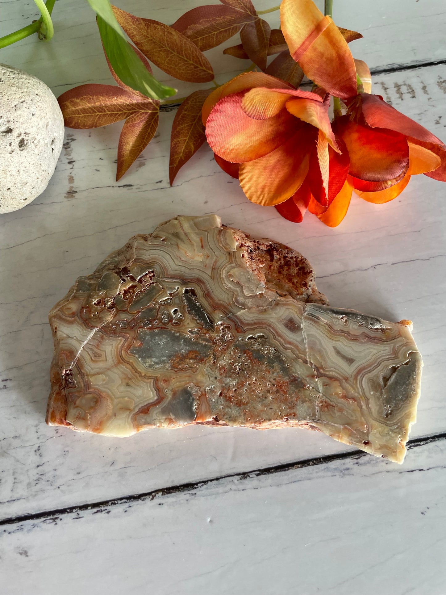 Crazy Lace Agate Polished Slab