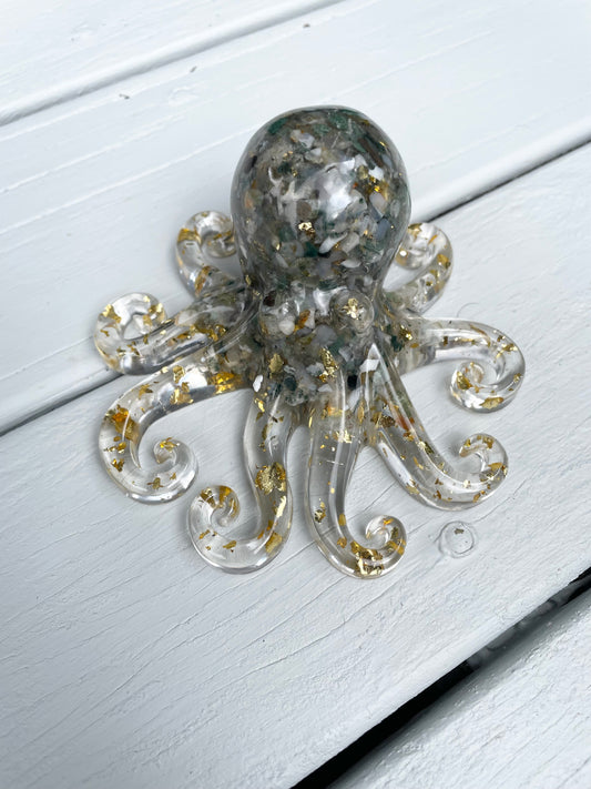 Indian Agate Octopus