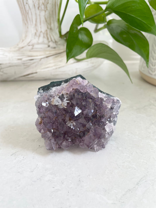 Amethyst Cluster