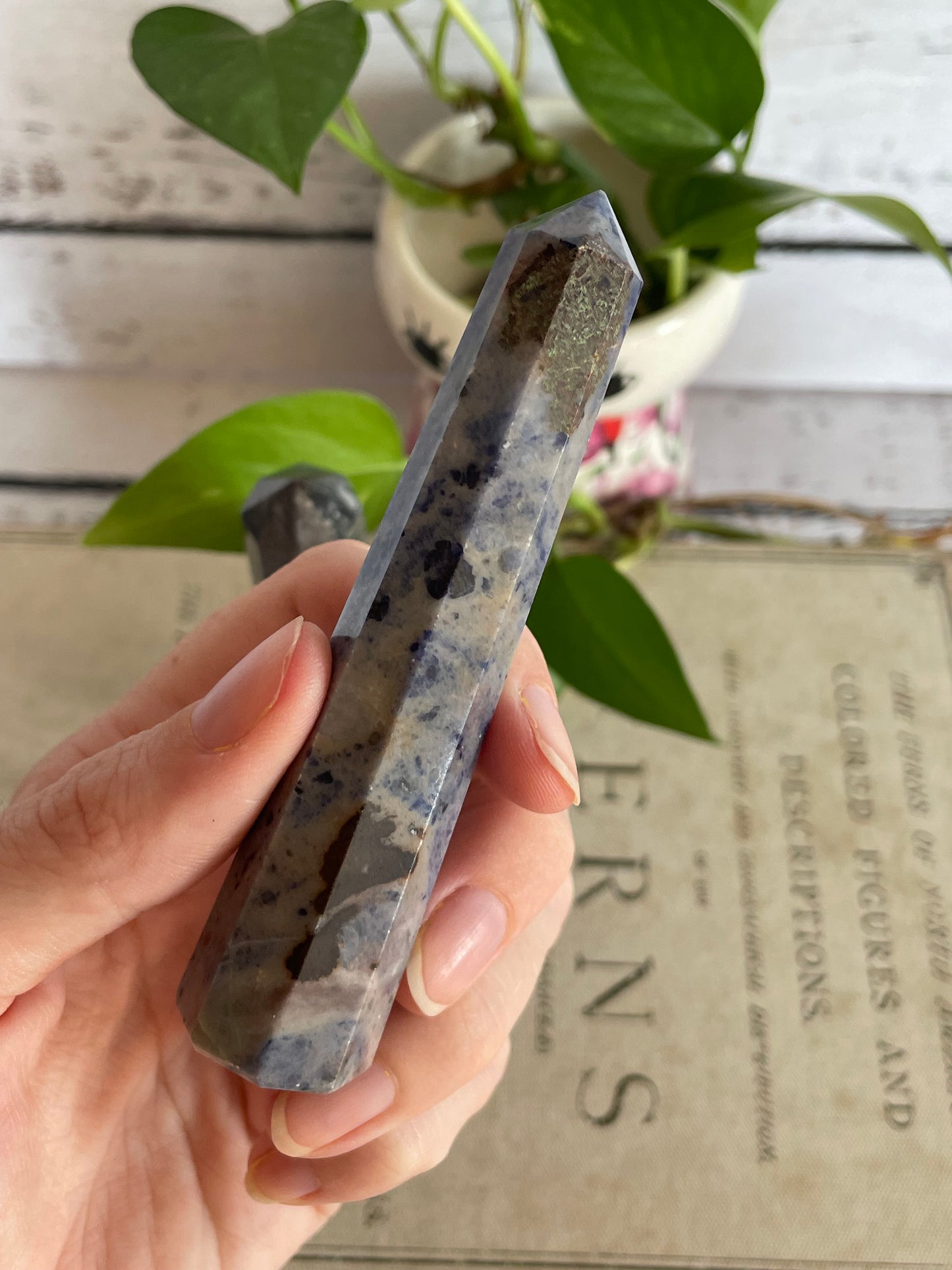 INTUITIVELY CHOSEN ~ Sodalite Generator