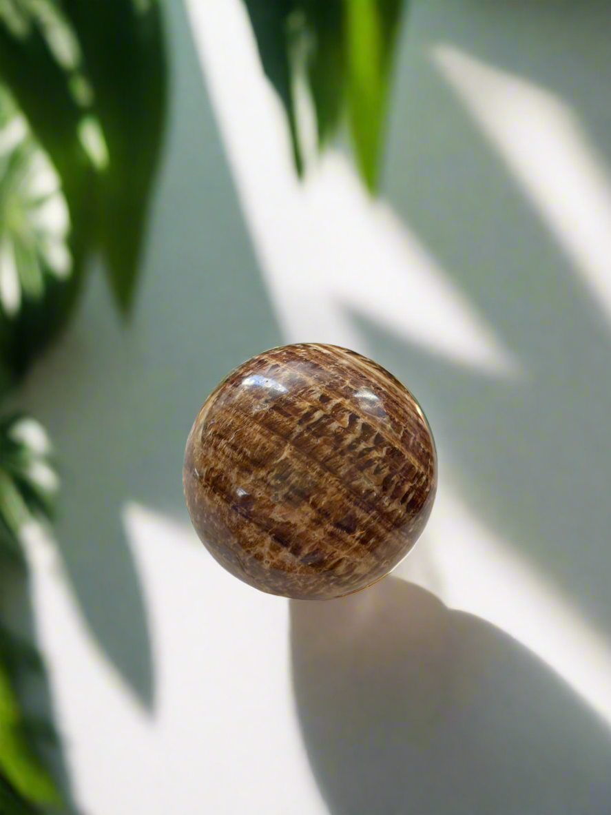 Aragonite Sphere Includes Holder