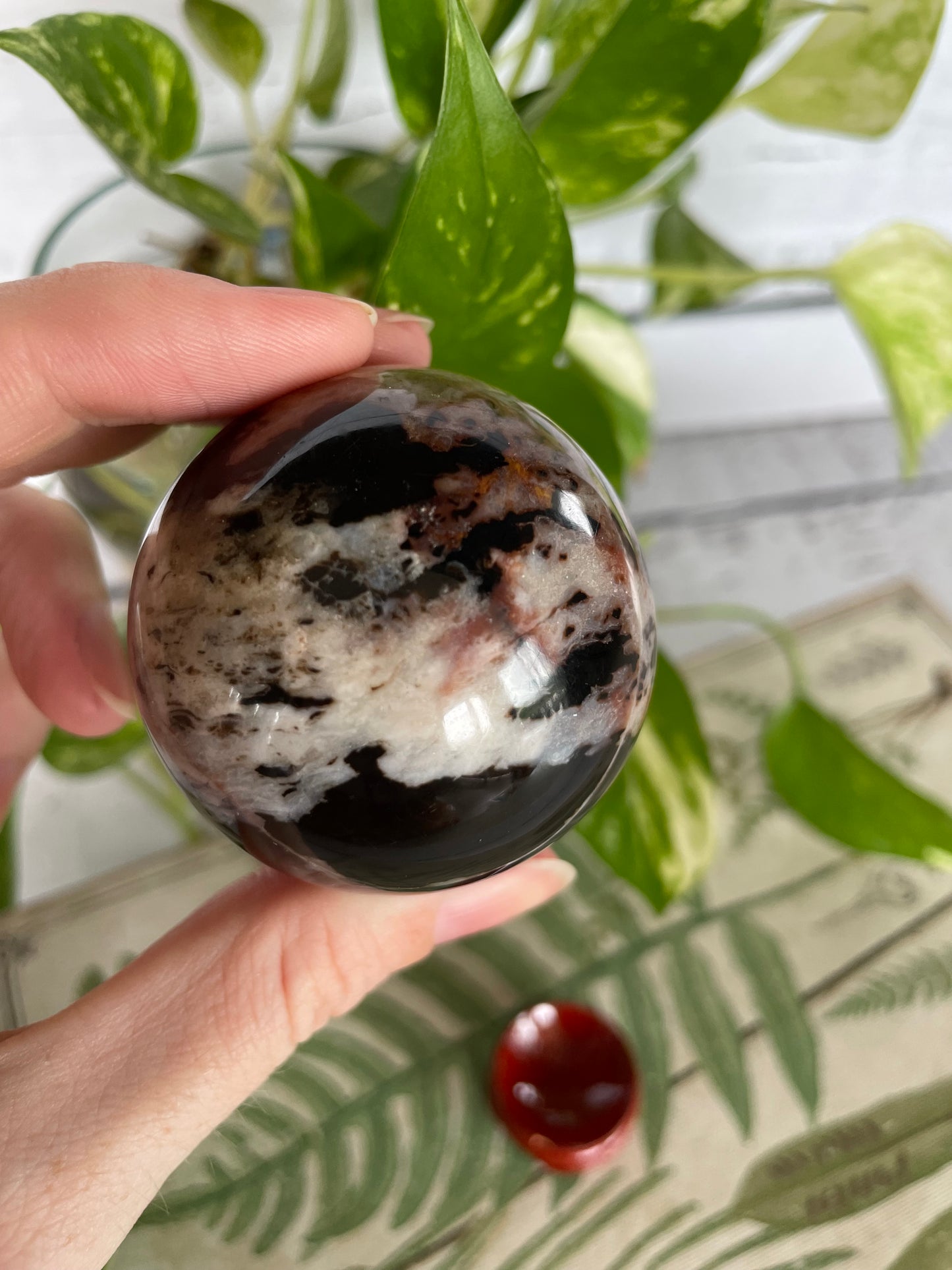 Sardonyx Sphere Includes Wooden Holder