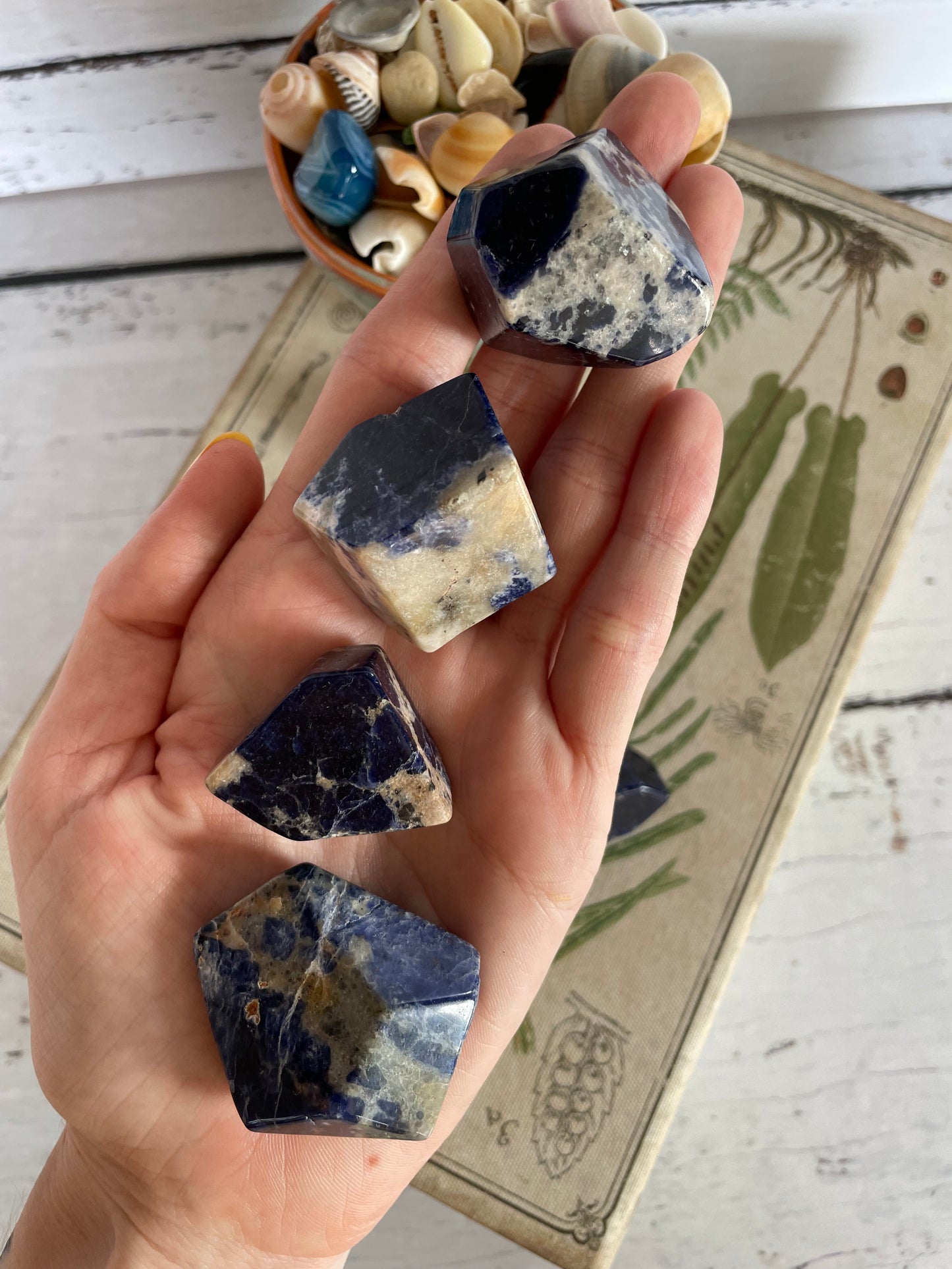 INTUITIVELY CHOSEN ~ Sodalite Polished Freeform