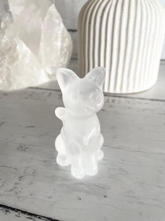 Cat - Clear Quartz