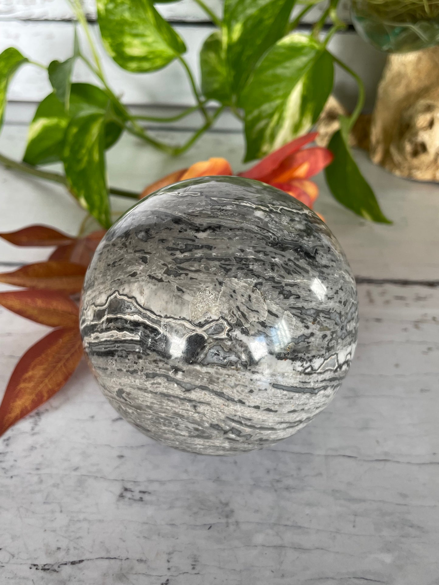 Picasso Jasper Sphere Includes Wooden Holder