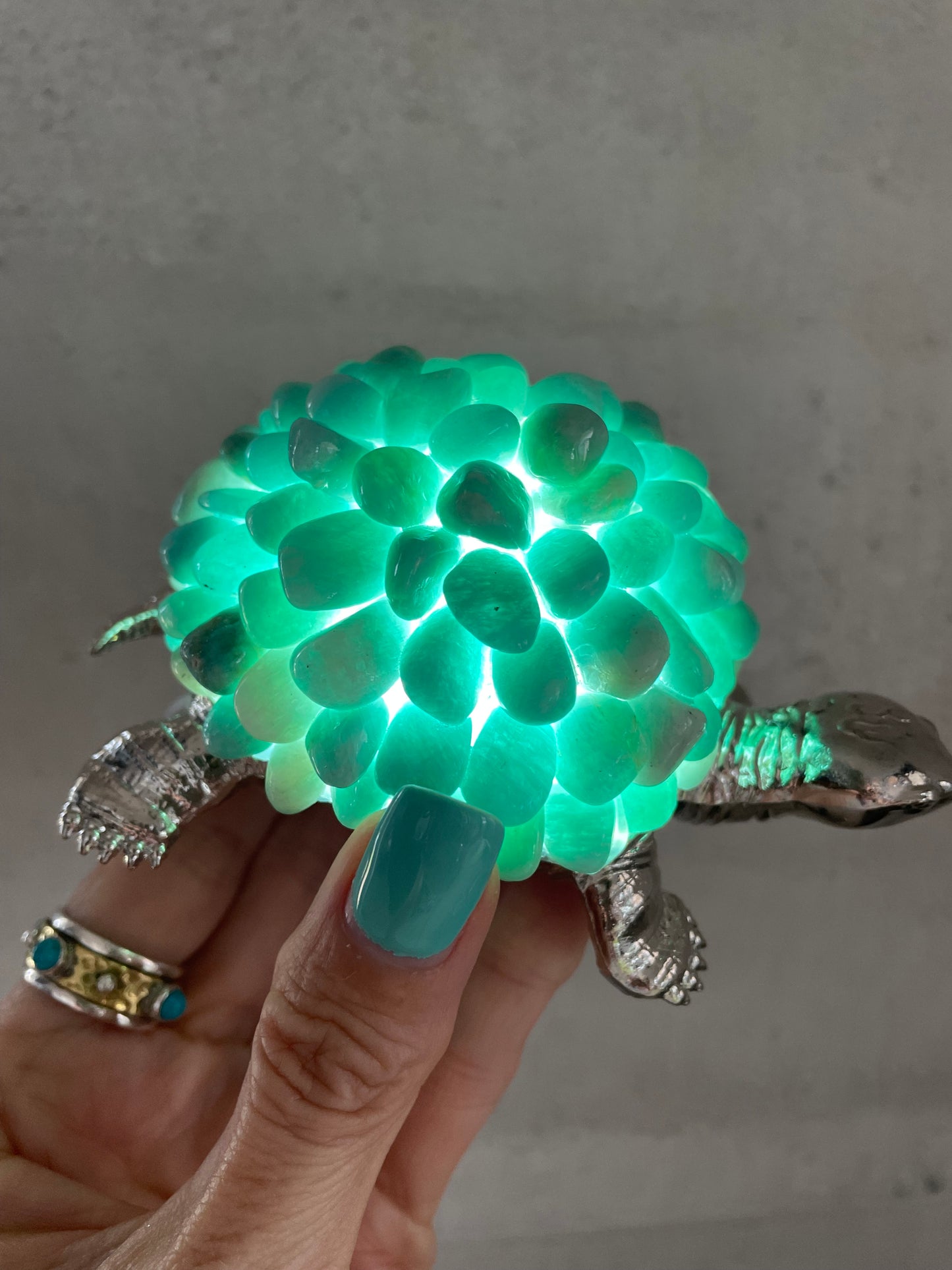 Tortoise Led Lamp ~ Amazonite
