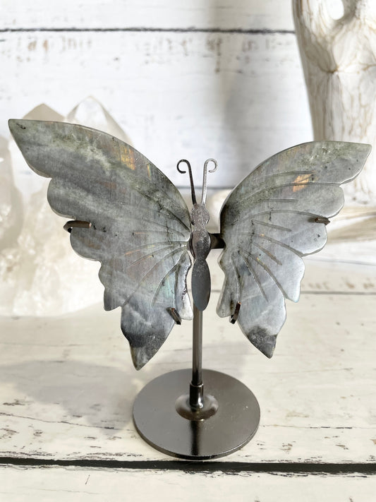 Butterfly ~ Labradorite