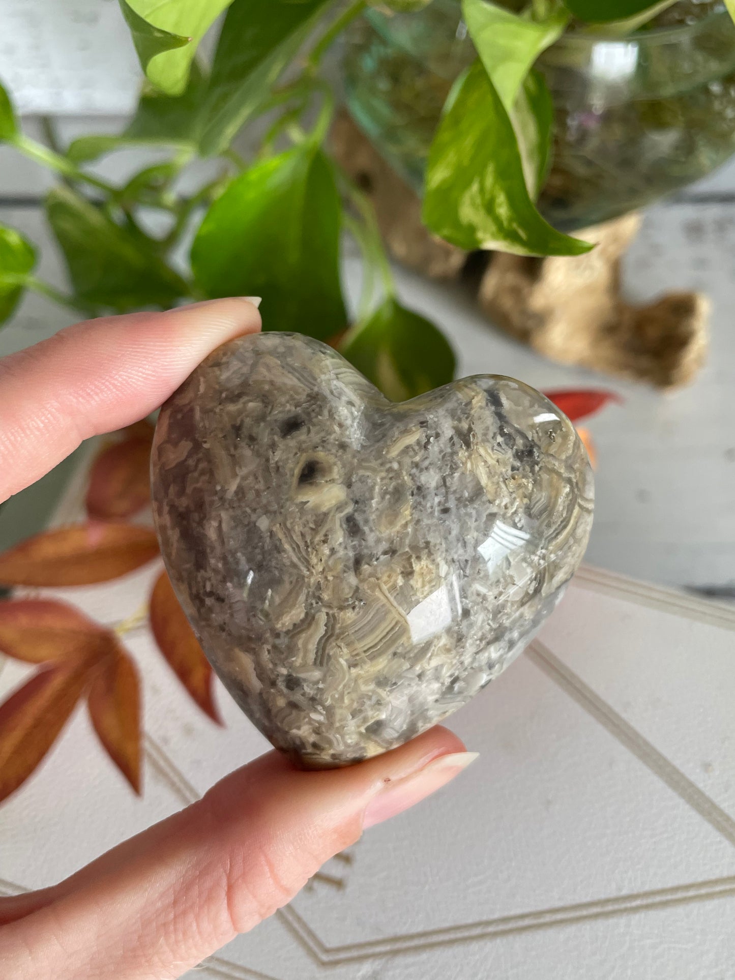 Crazy Lace Agate Heart