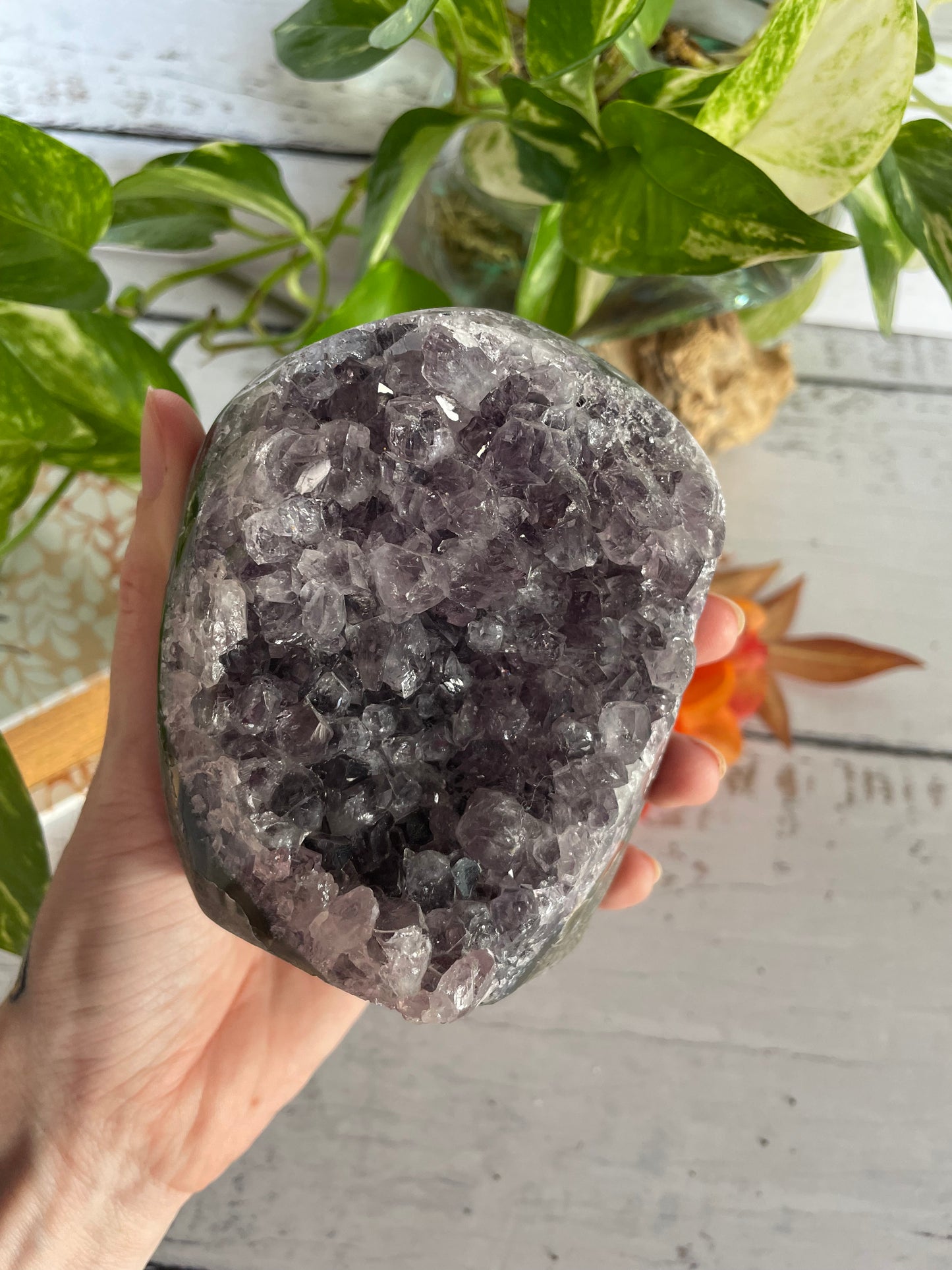 Amethyst Standing Cluster