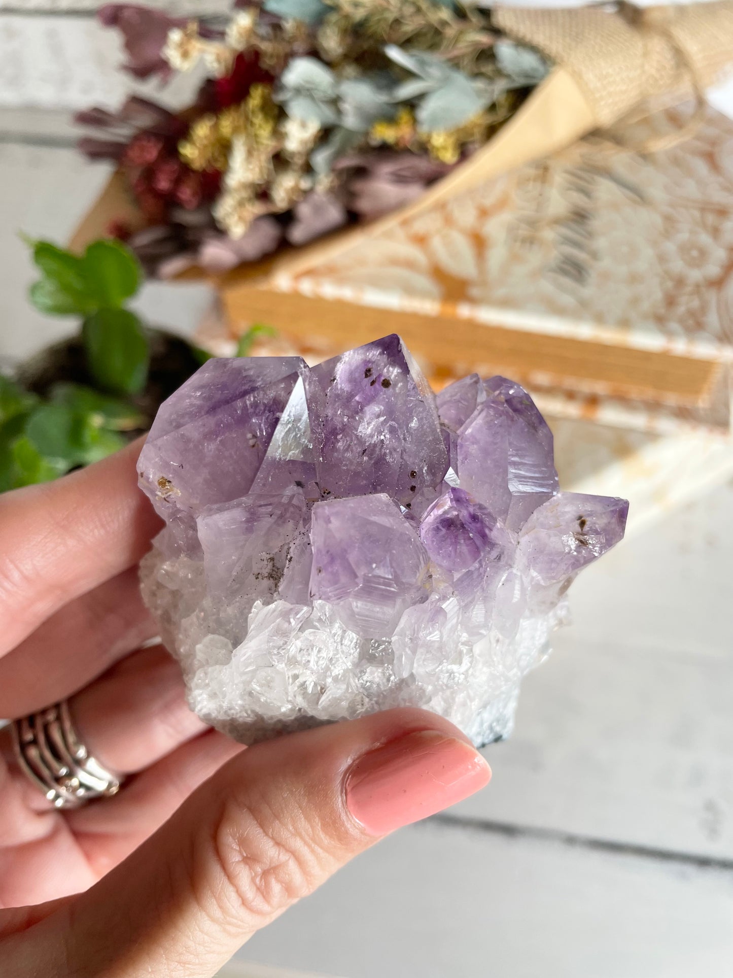 Amethyst Cluster