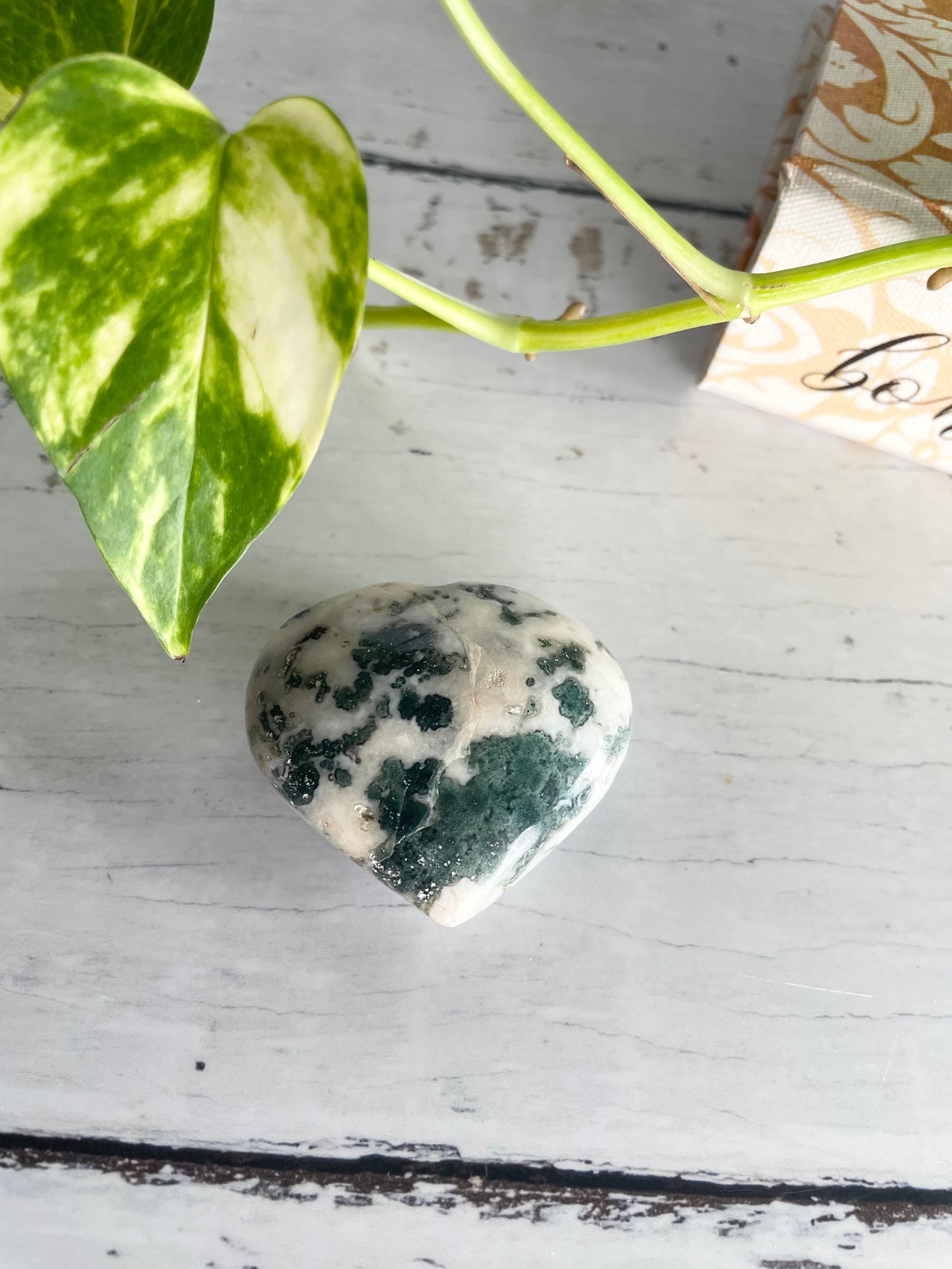 Tree Agate Heart