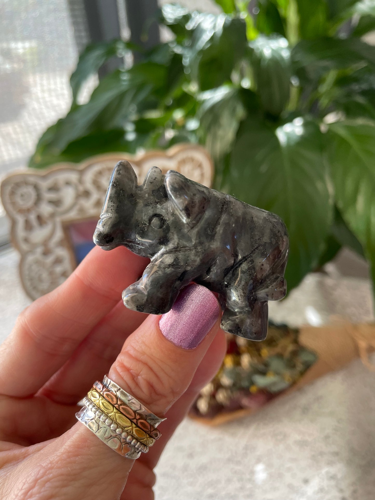 Dragons Blood Jasper Rhino