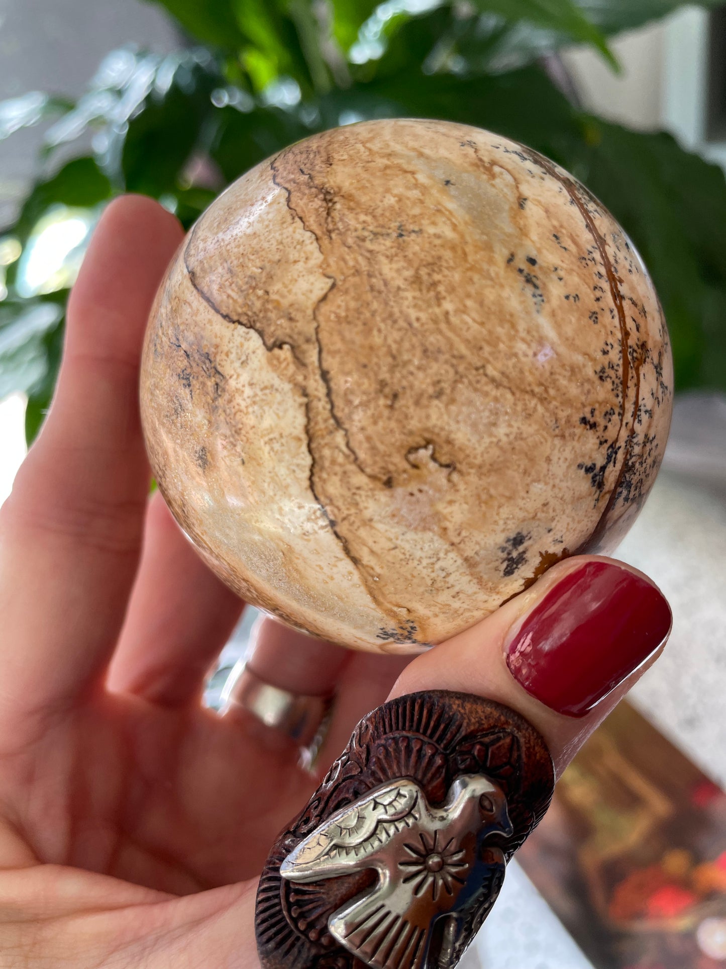 Picture Jasper Sphere Includes Wooden Holder