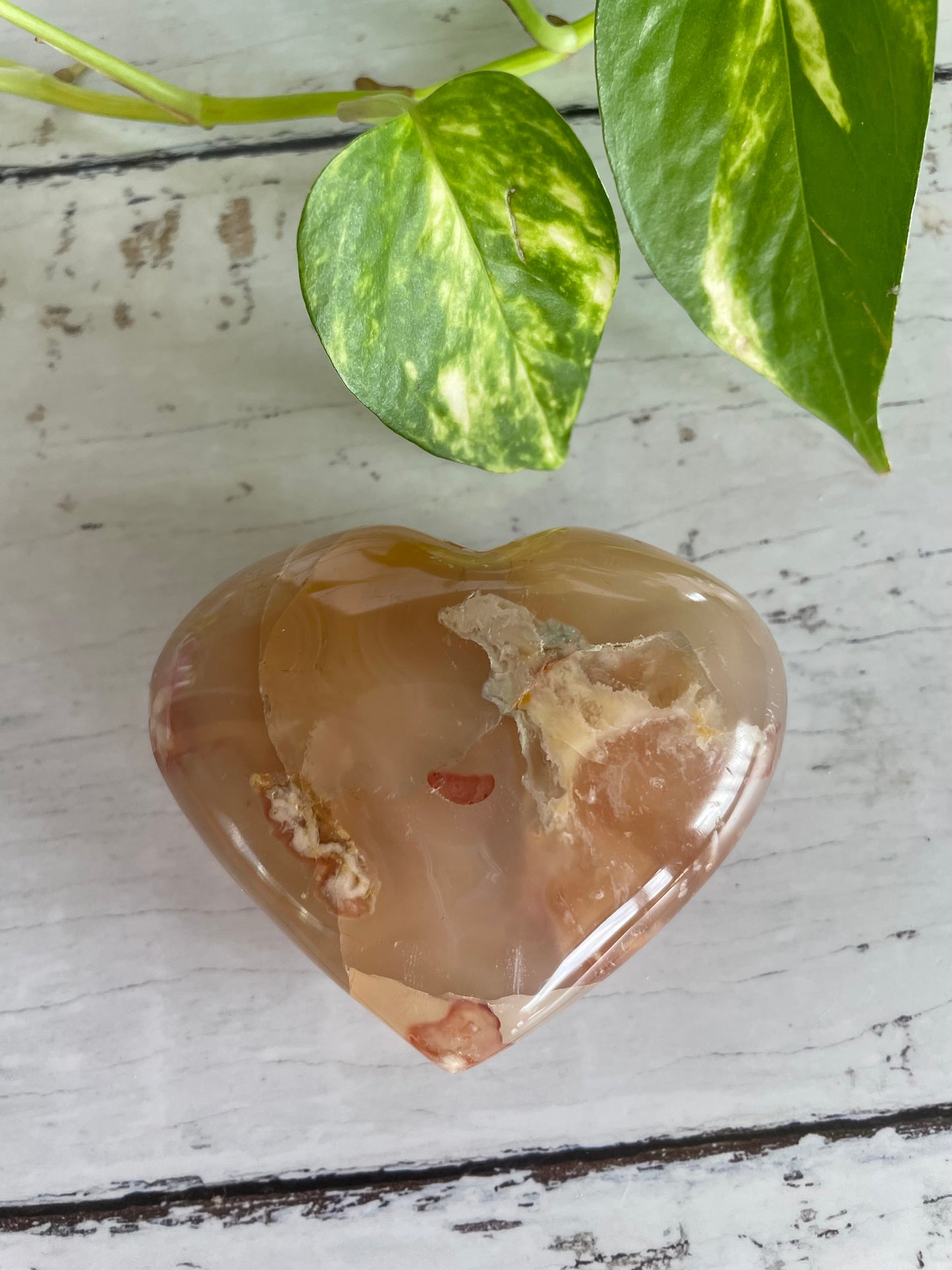 Flower Agate Heart