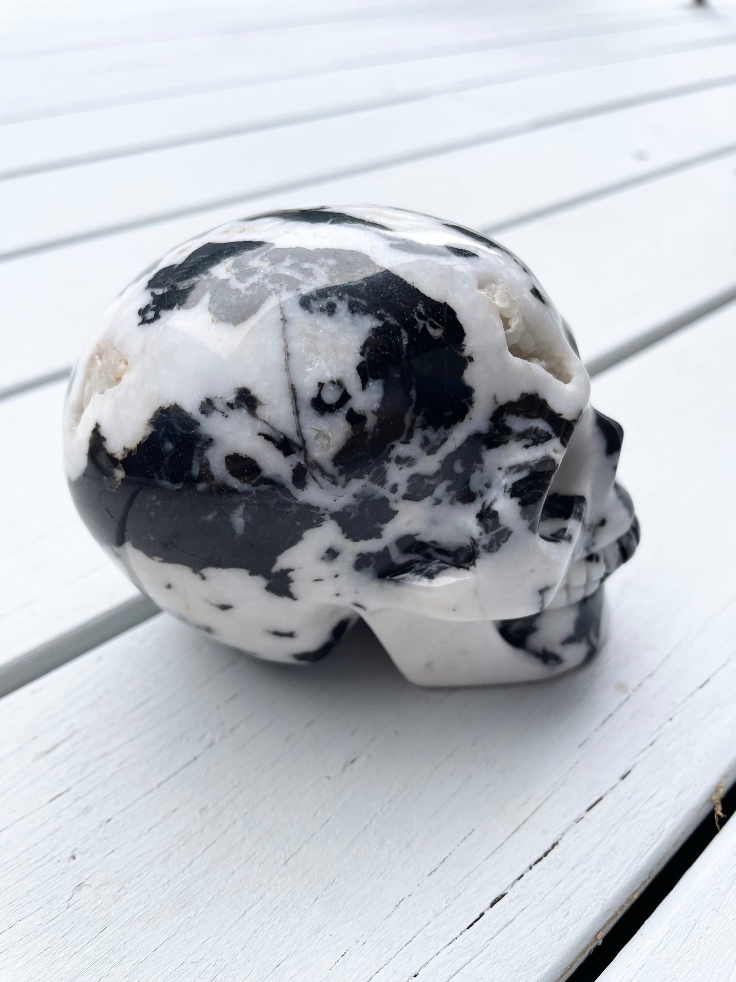 Zebra Jasper Skull
