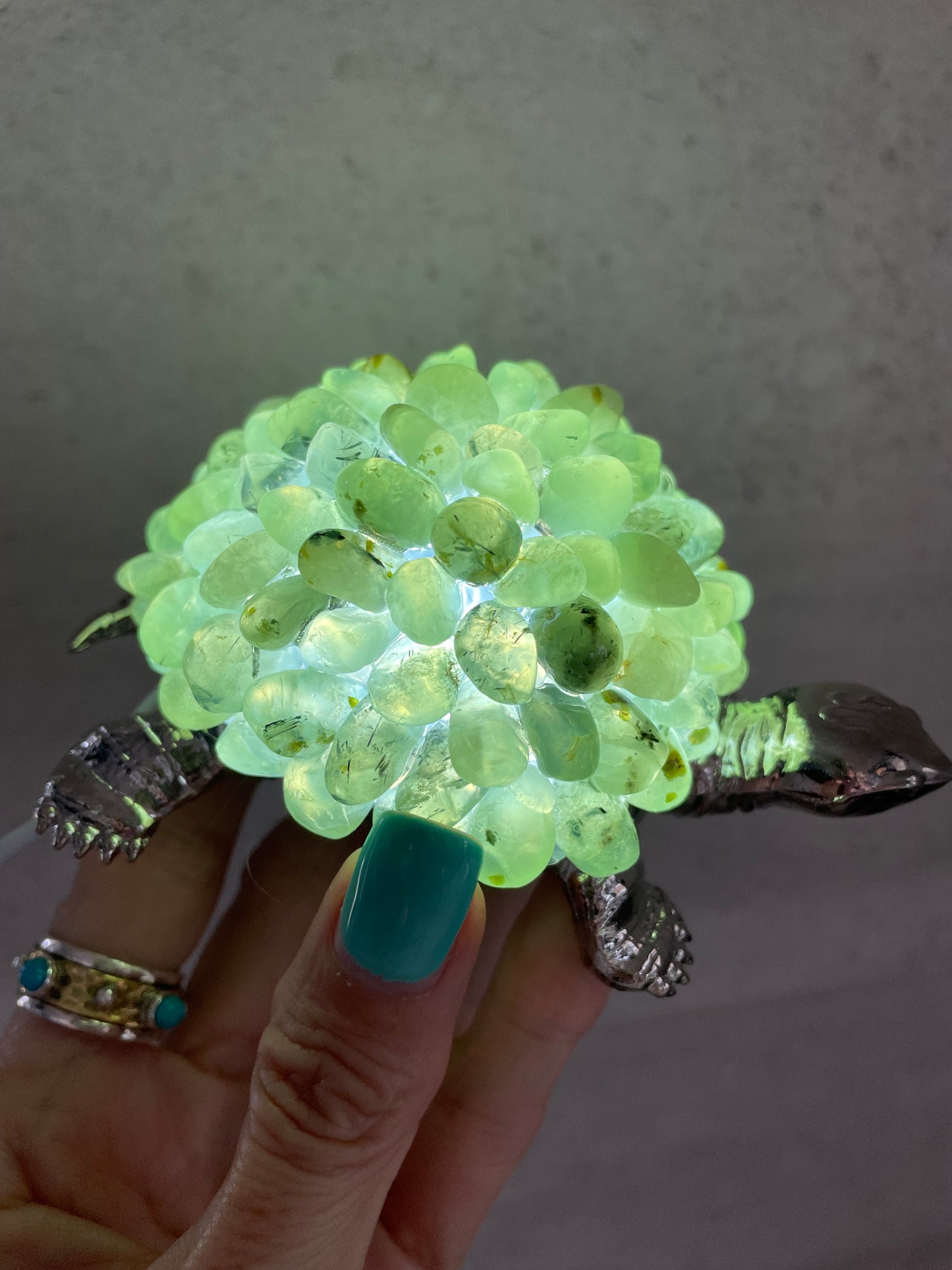 Tortoise Led Lamp ~ Prehnite