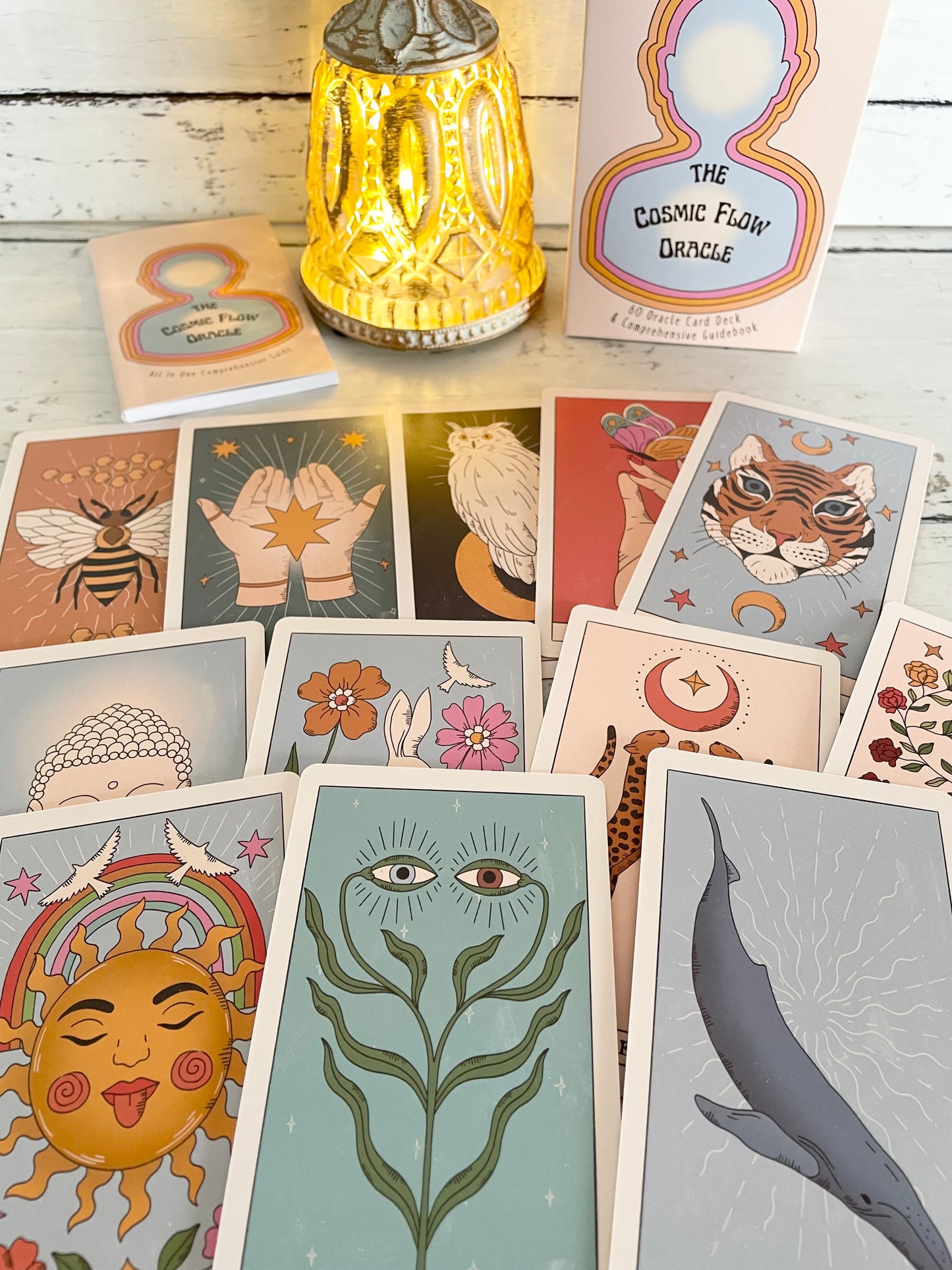 The Cosmic Flow Oracle