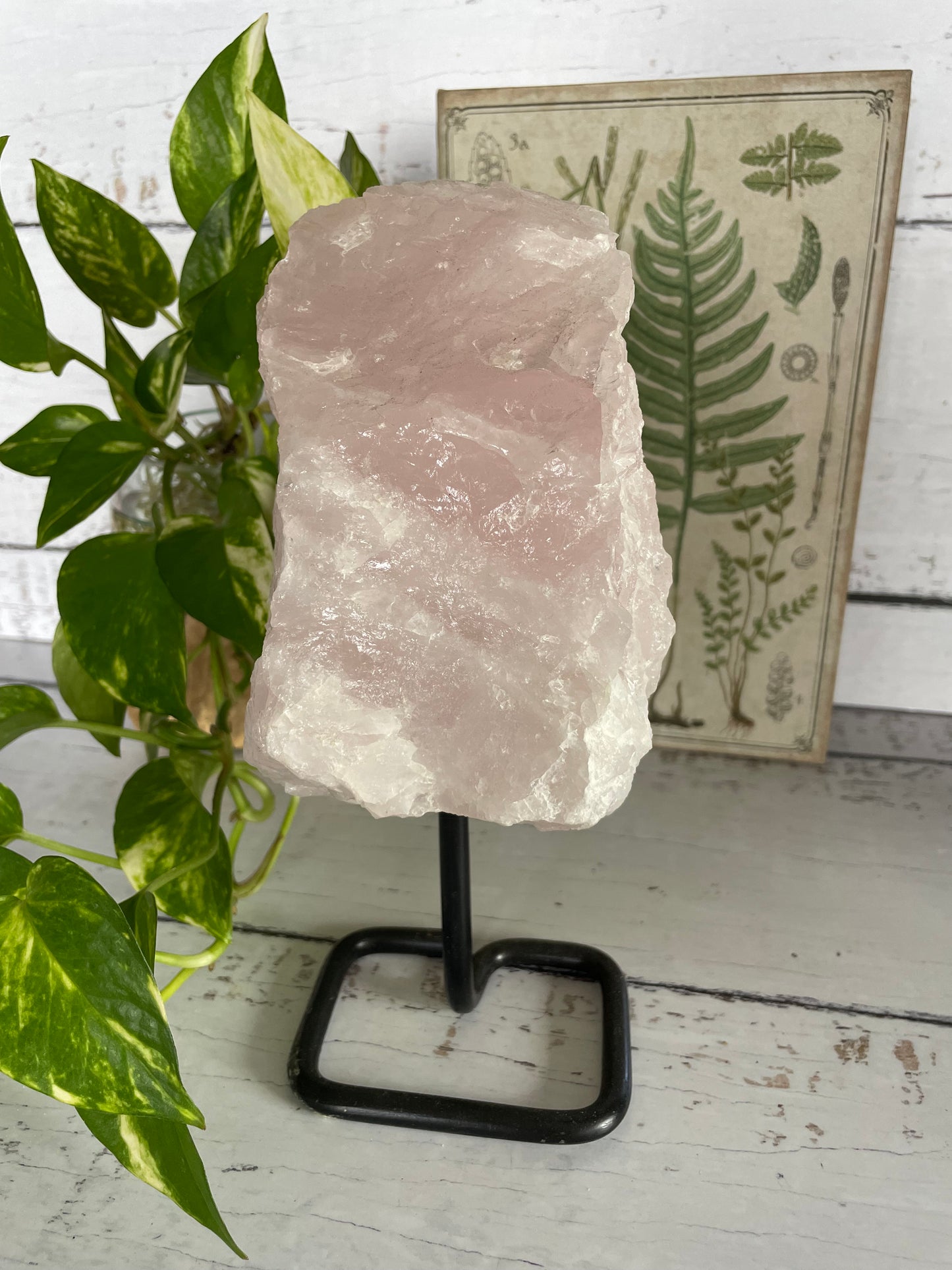 Rose Quartz ~ 2.1kgs