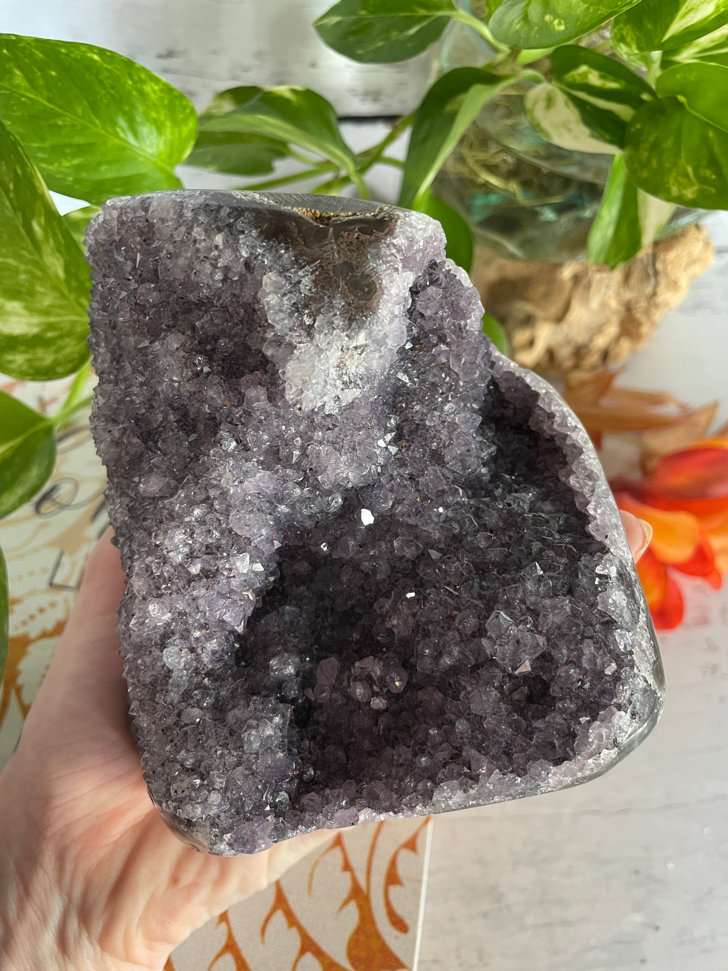 Amethyst Standing Cluster ~ 1.1kgs