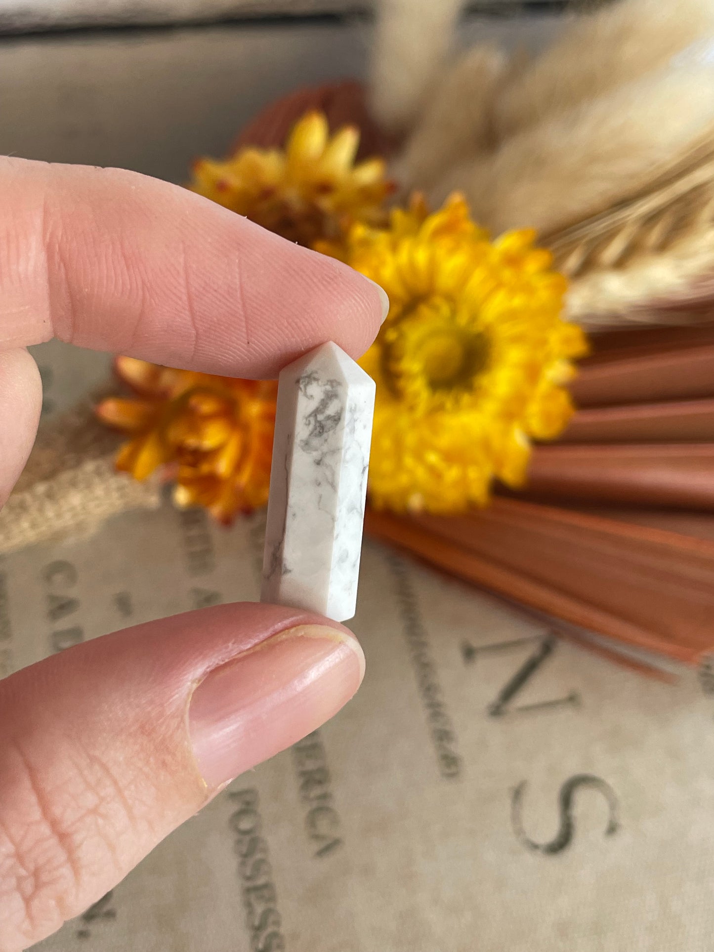 Intuitively Chosen ~ White Howlite Mini Generator