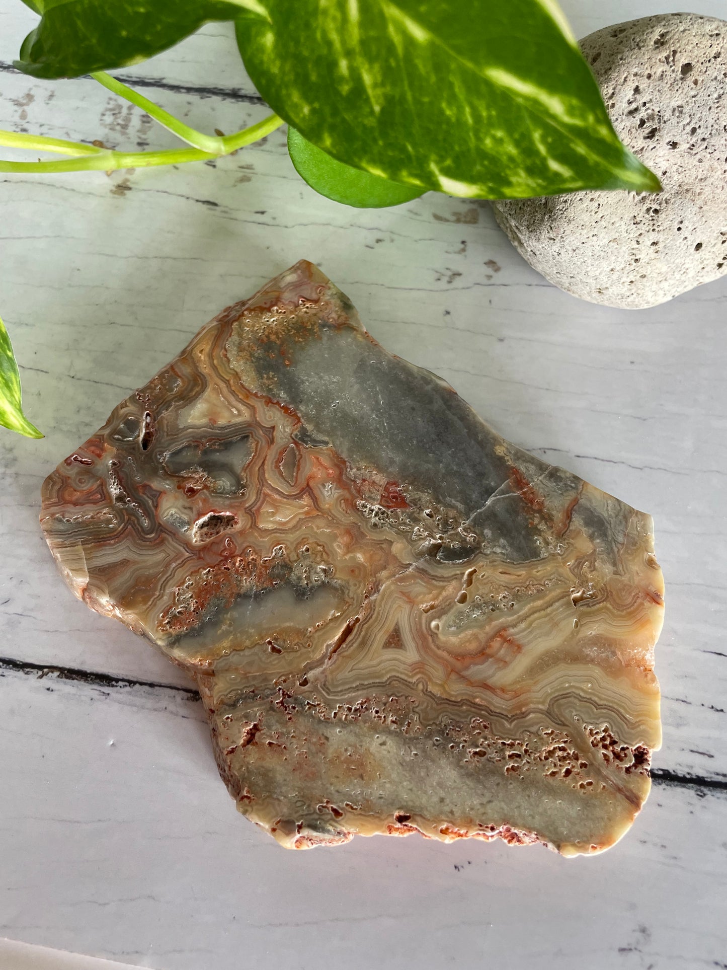 Crazy Lace Agate Polished Slab