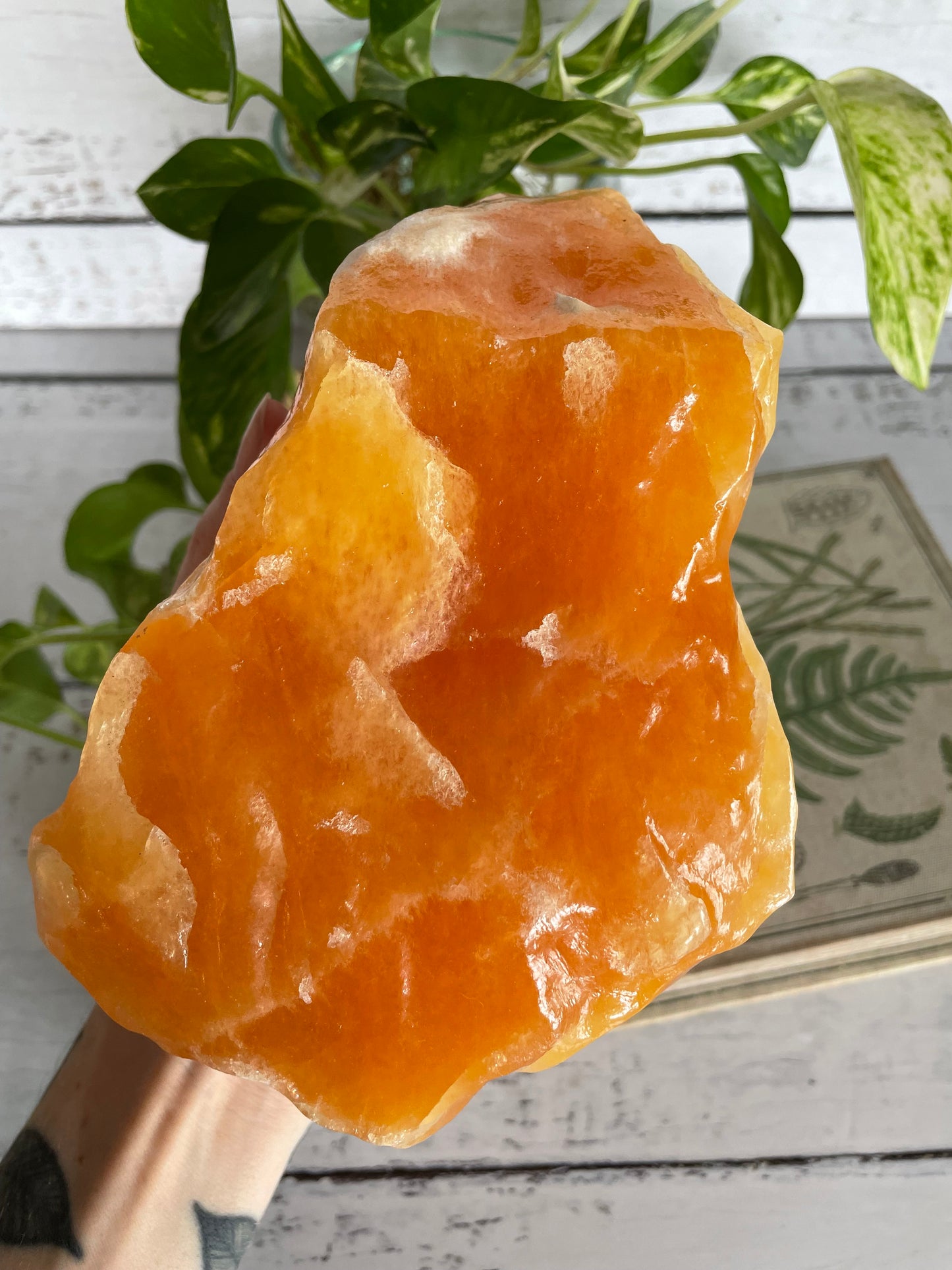 Orange Calcite ~ 1.9kgs