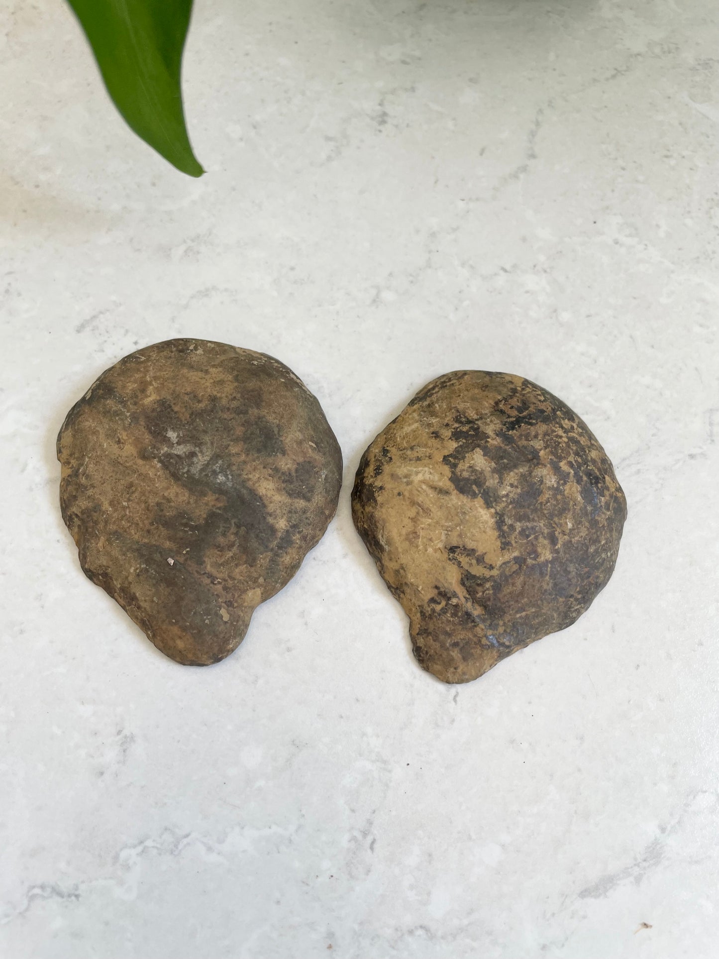 Septarian Twins Pair