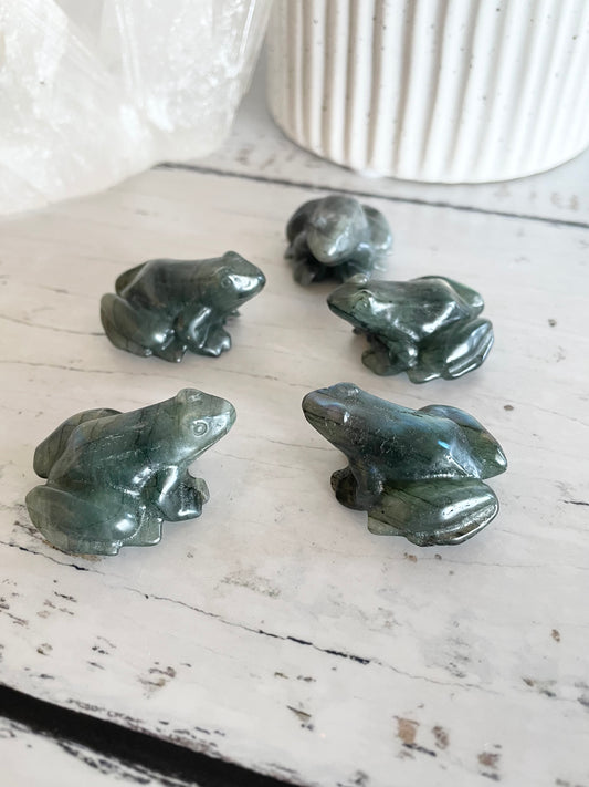 Intuitively Chosen ~ Labradorite Frog