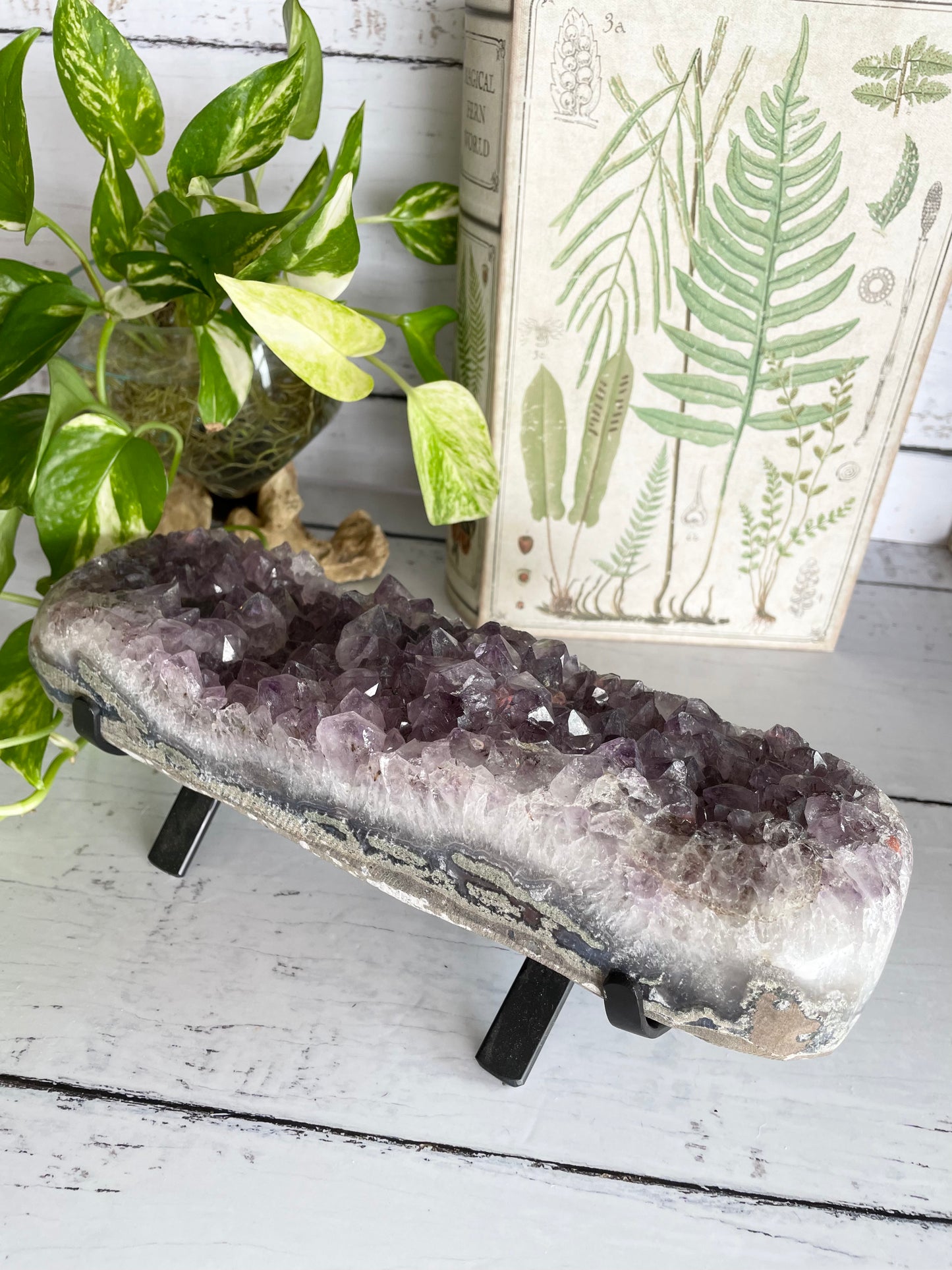 Amethyst Cluster Table Topper ~ 3kgs