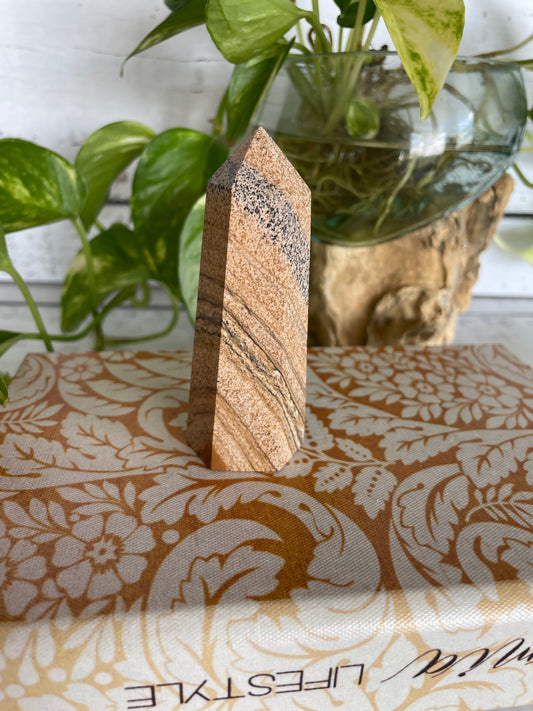 Picture Jasper Generator