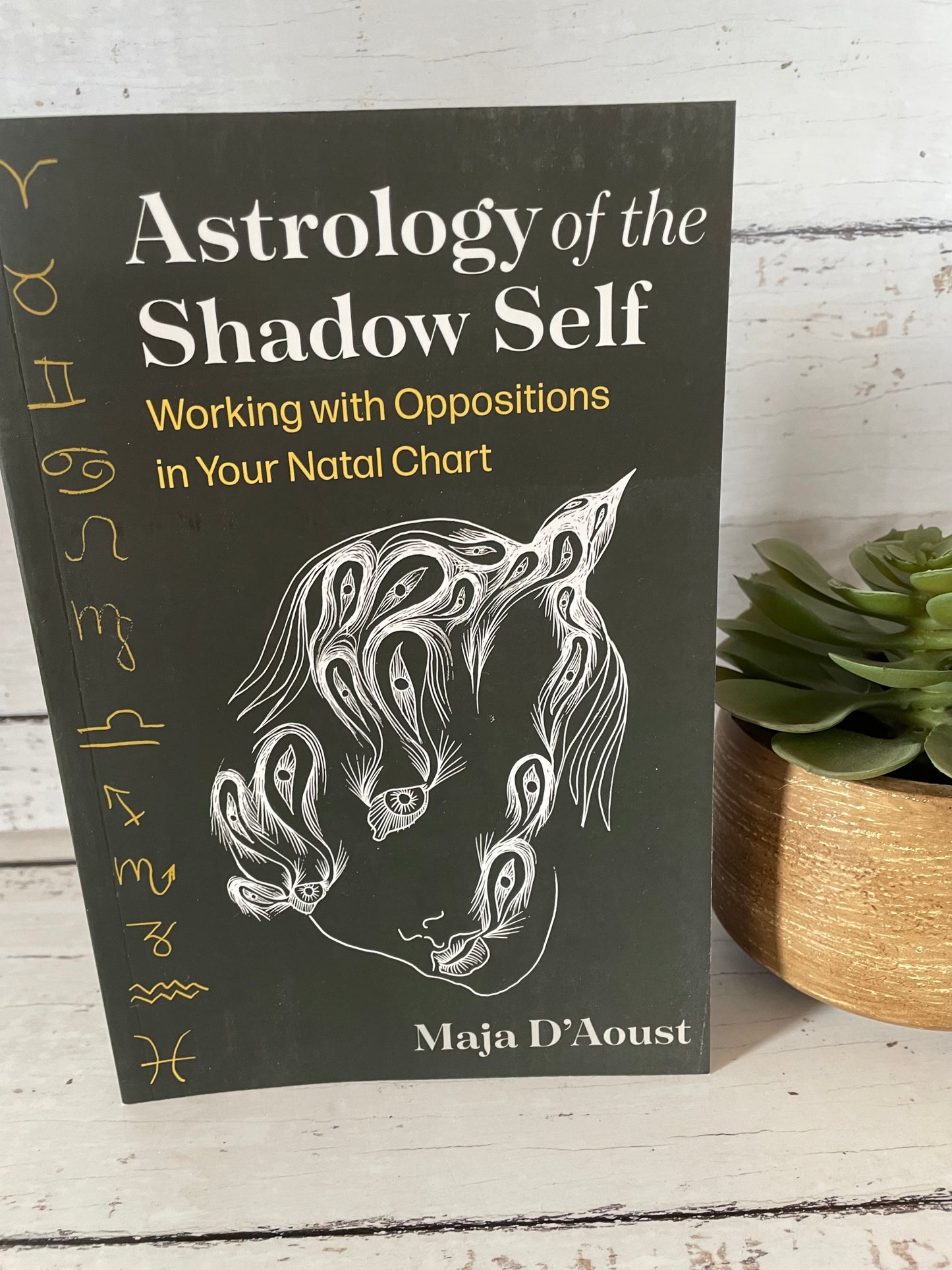 Astrology of the Shadowself: working with oppositions in your natal chart