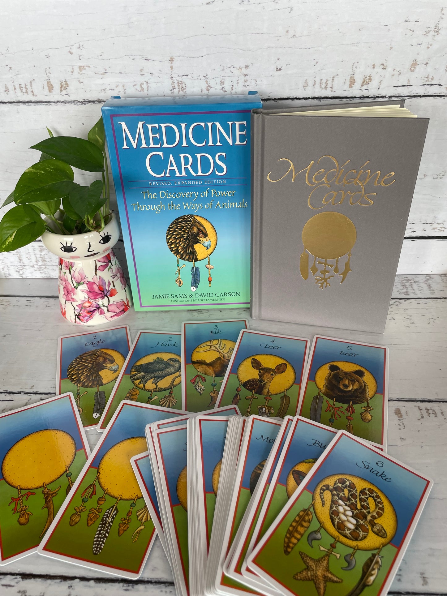 Medicine Cards