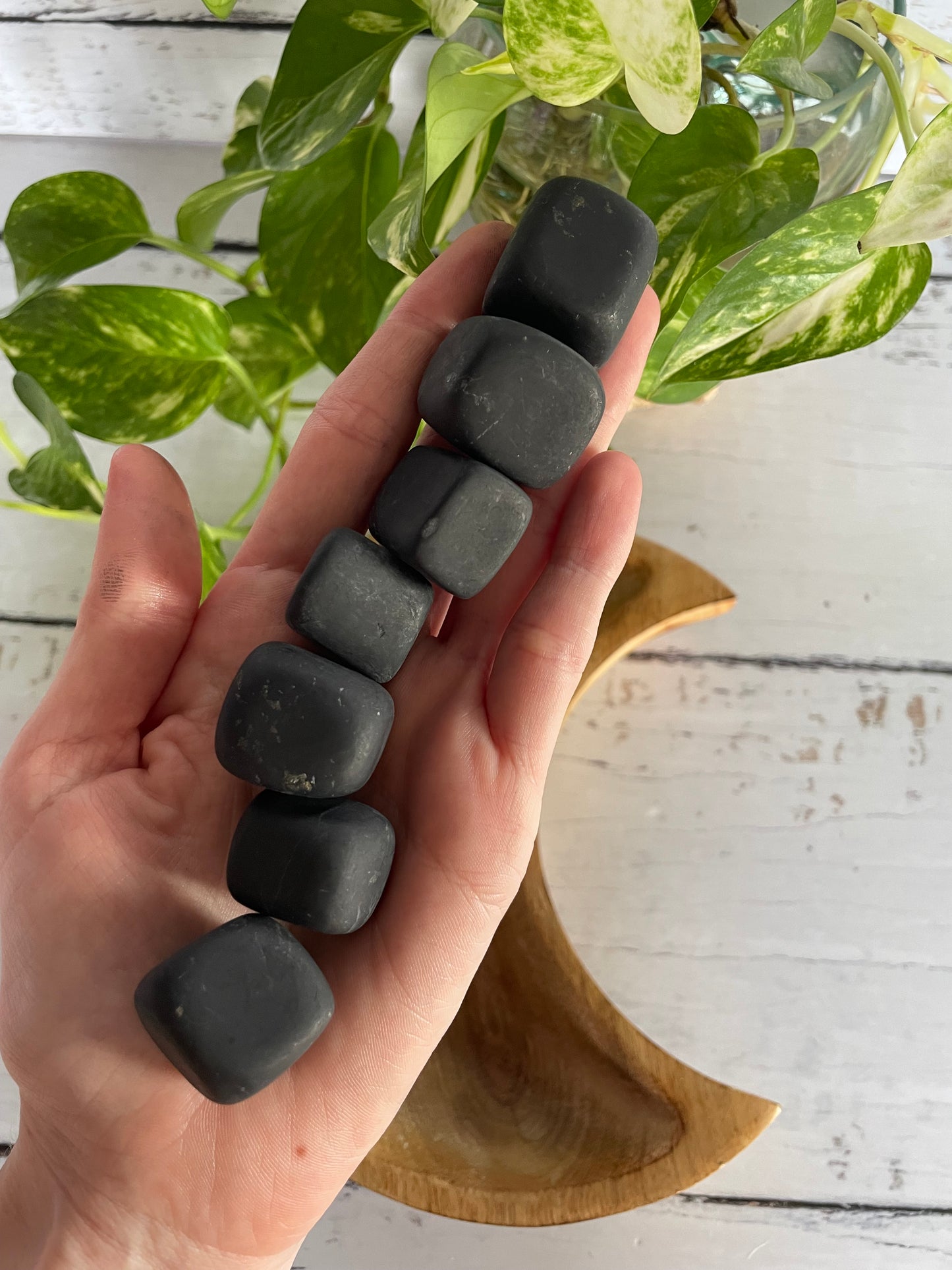 Shungite Raw Tumble Stones