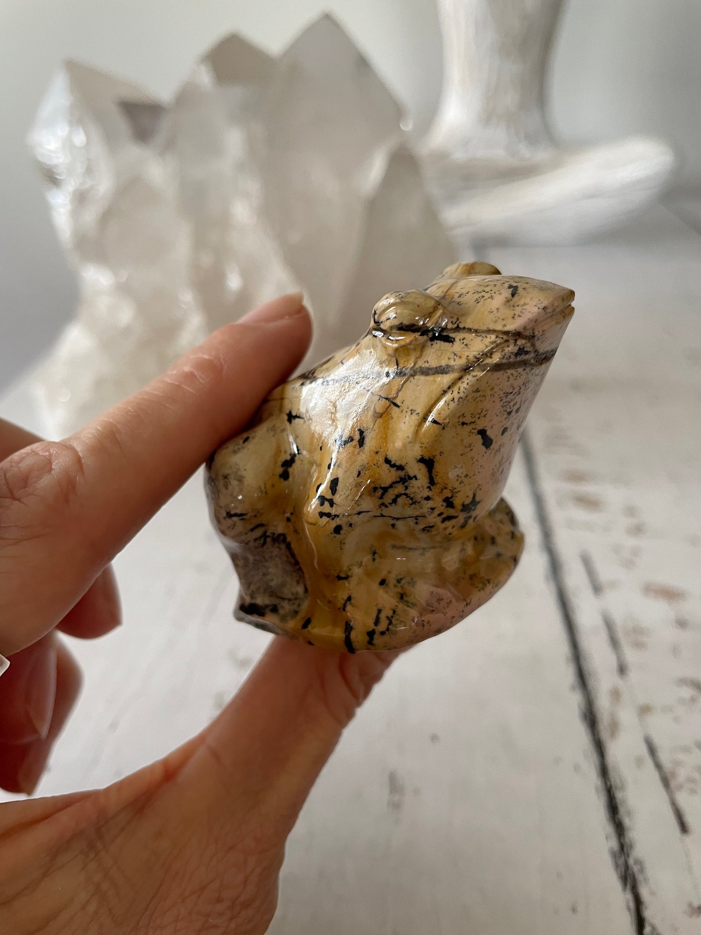 Picture Jasper Frog