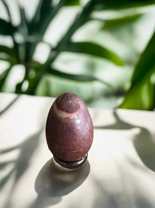 Shiva Narmada Egg with holder