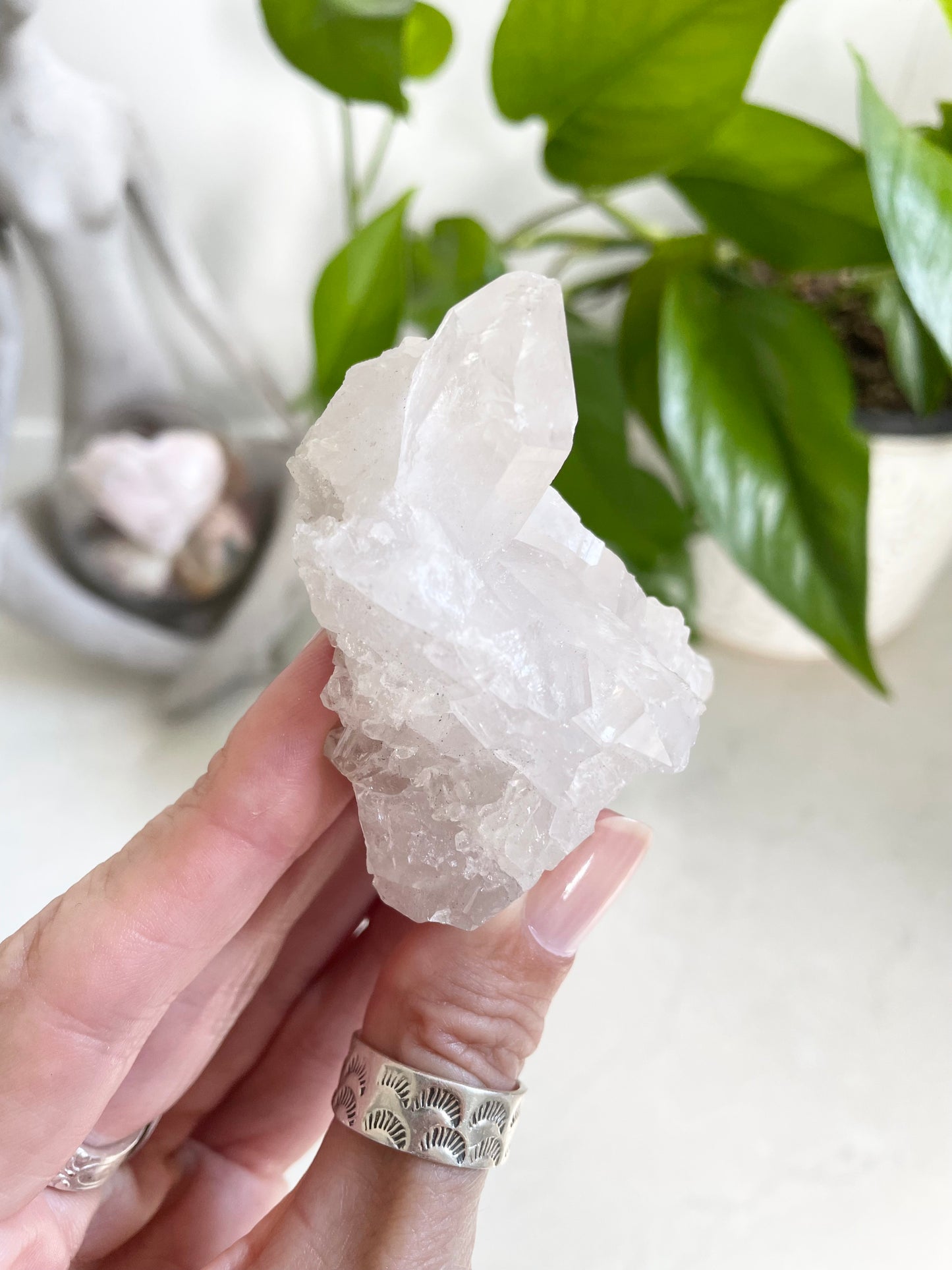 Clear Quartz Cluster