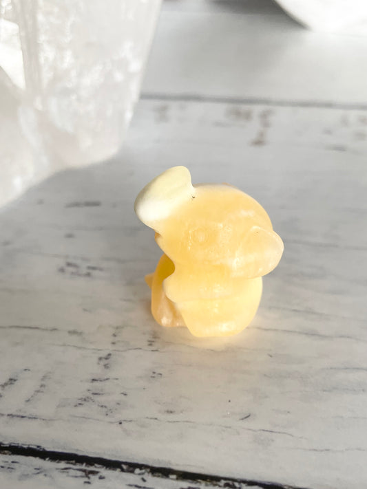 Elephant ~ Orange Calcite