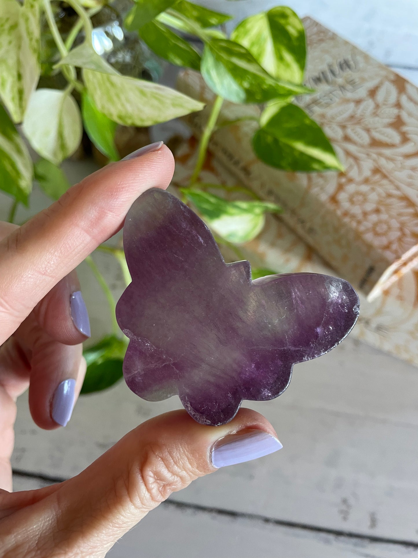 Butterfly ~ Rainbow Fluorite