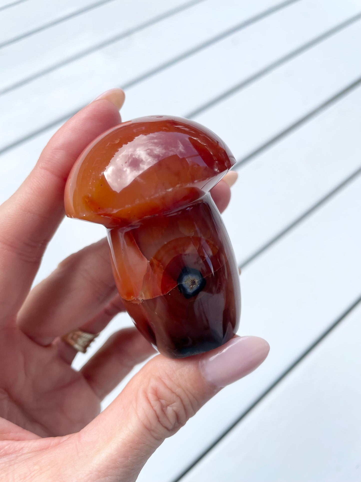 Carnelian Mushroom