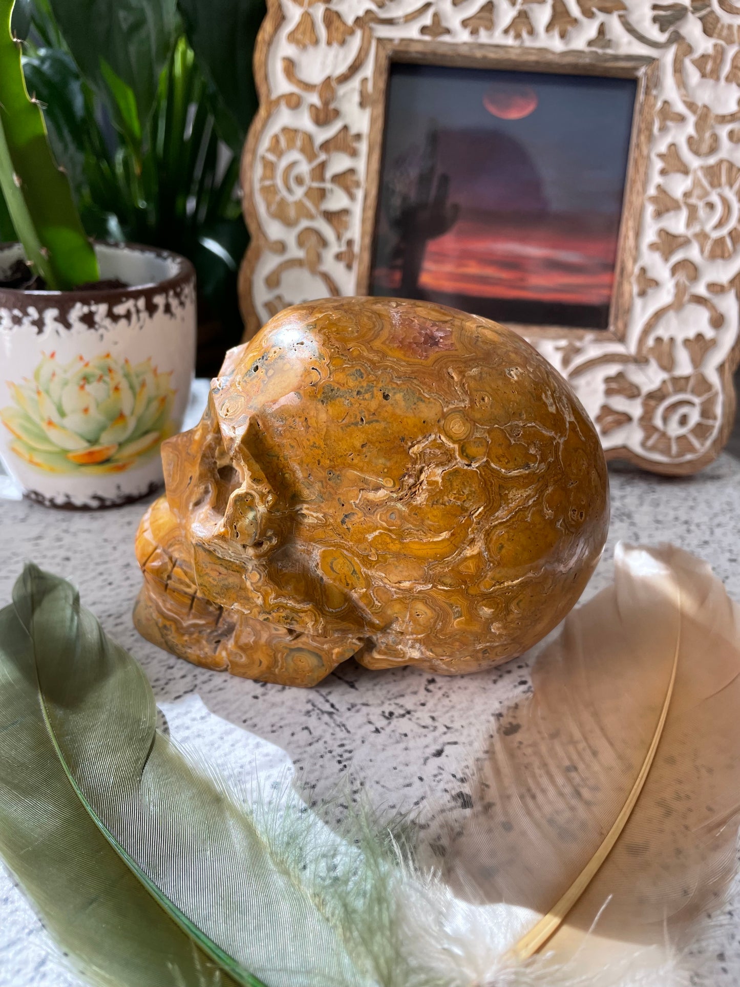 Crazy Lace Agate Skull